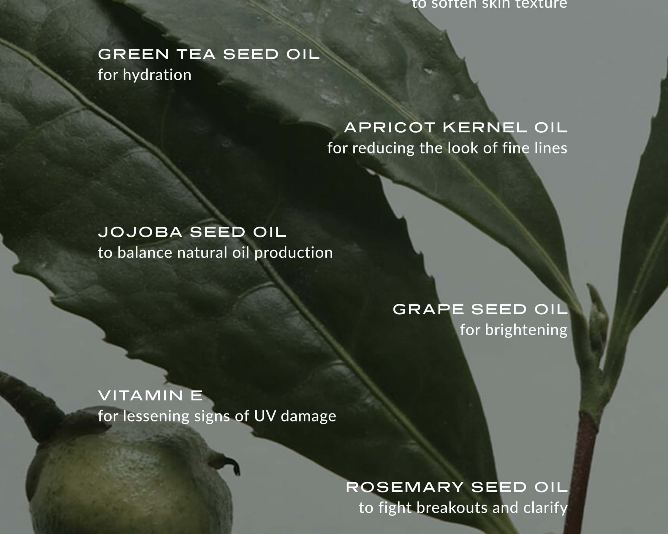 WYLYS Phyto Green Complete Cleansing Balm Oil-based First Cleanser No Residue Aromatherapy When You Love Your Skin