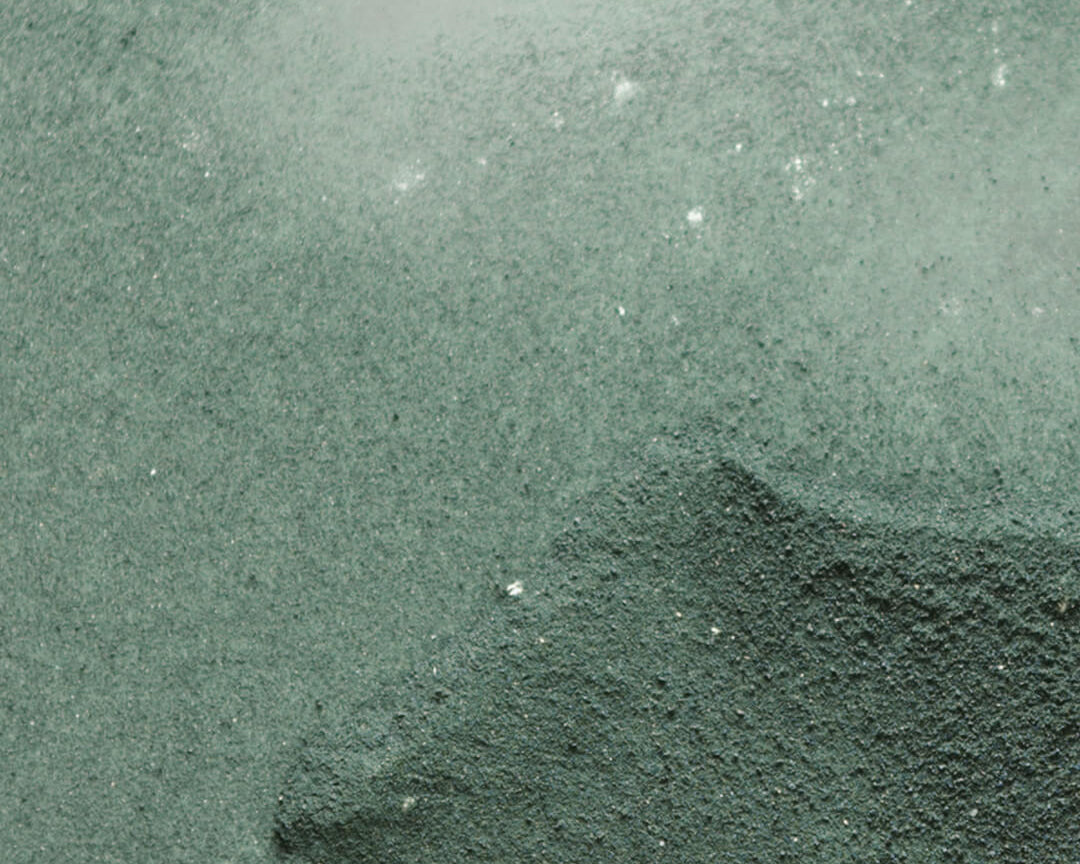 WYLYS Liquid V-Lift One-Step Serum Star Ingredient AFA Algae Powder When You Love Your Skin
