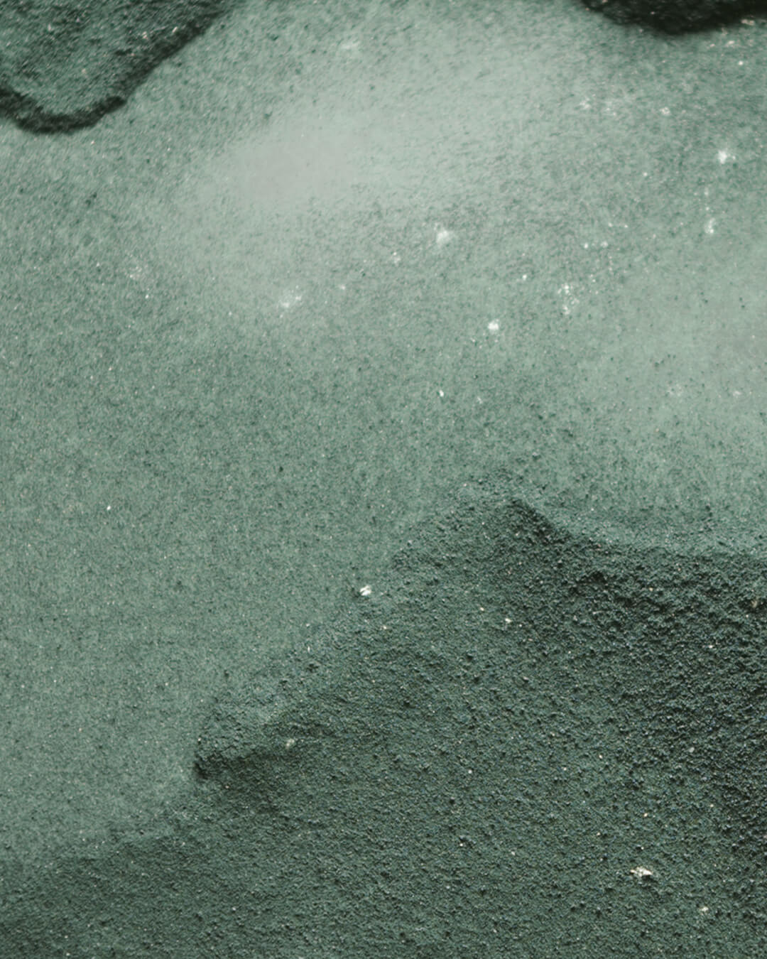 WYLYS Liquid V-Lift One-Step Serum Star Ingredient AFA Algae Powder When You Love Your Skin