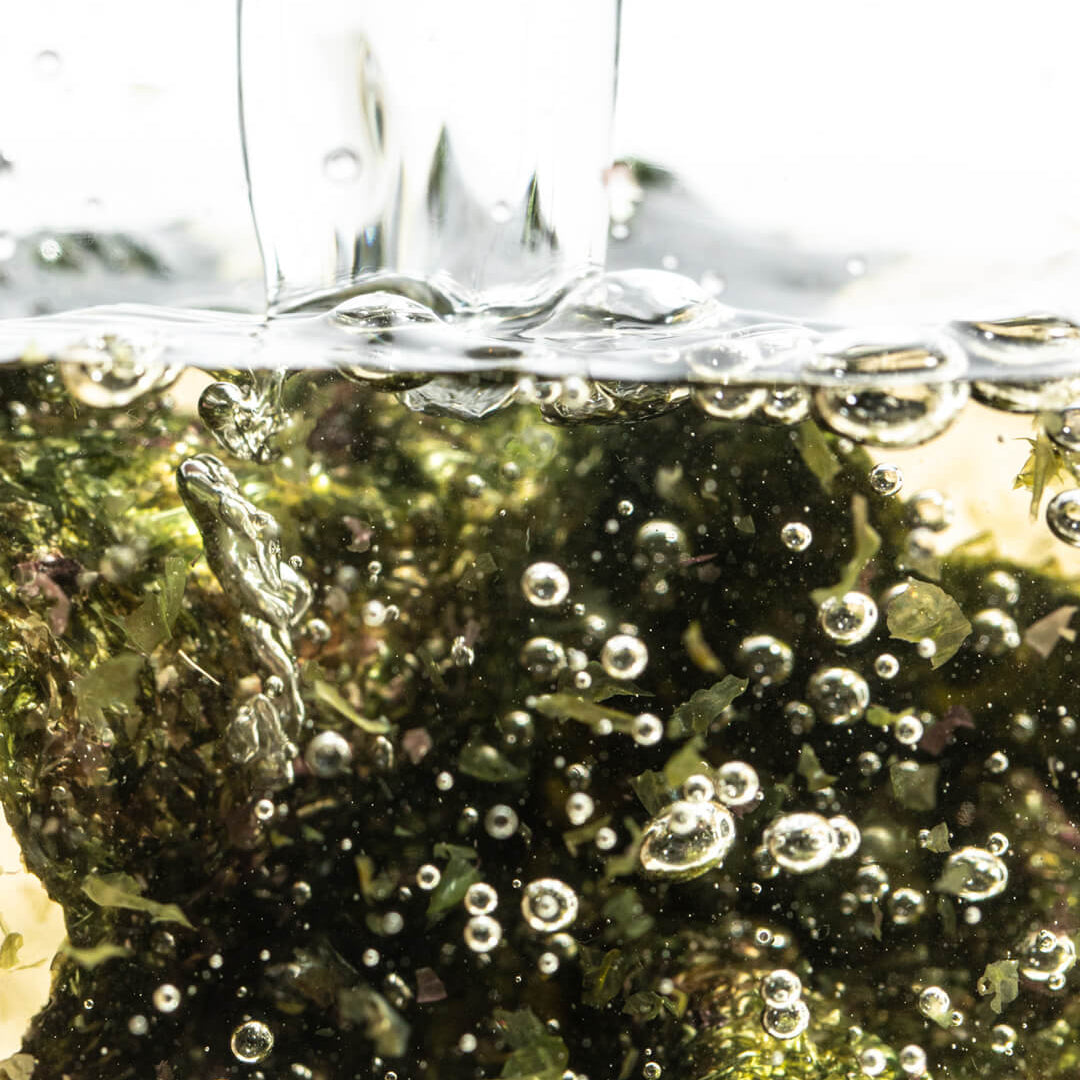  Bubbling water over green seaweed, representing natural ingredients for a clean skincare free-from list.